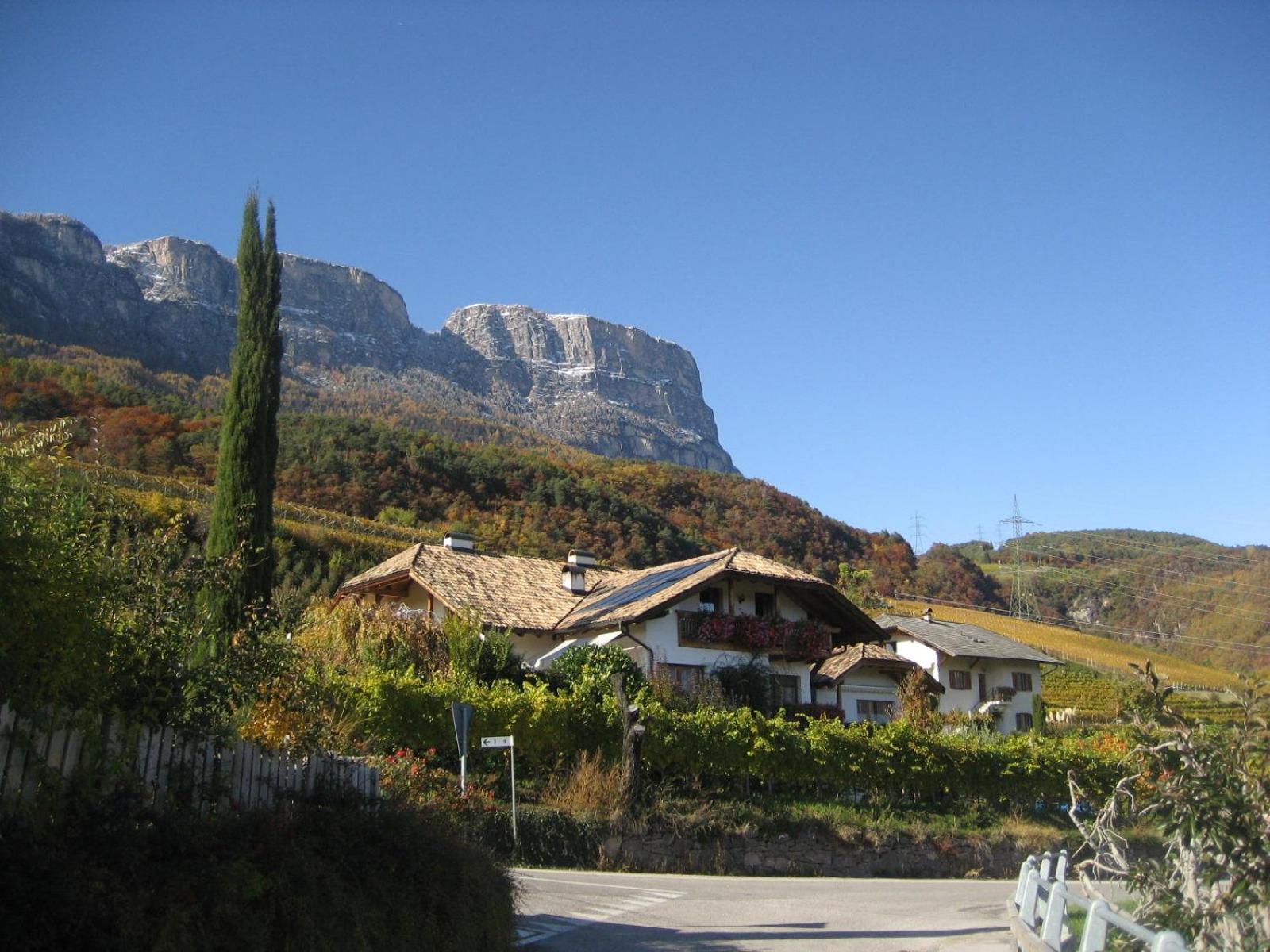 Gfillhof Ferienwohnung 3 Appiano Sulla Strada Del Vino Extérieur photo