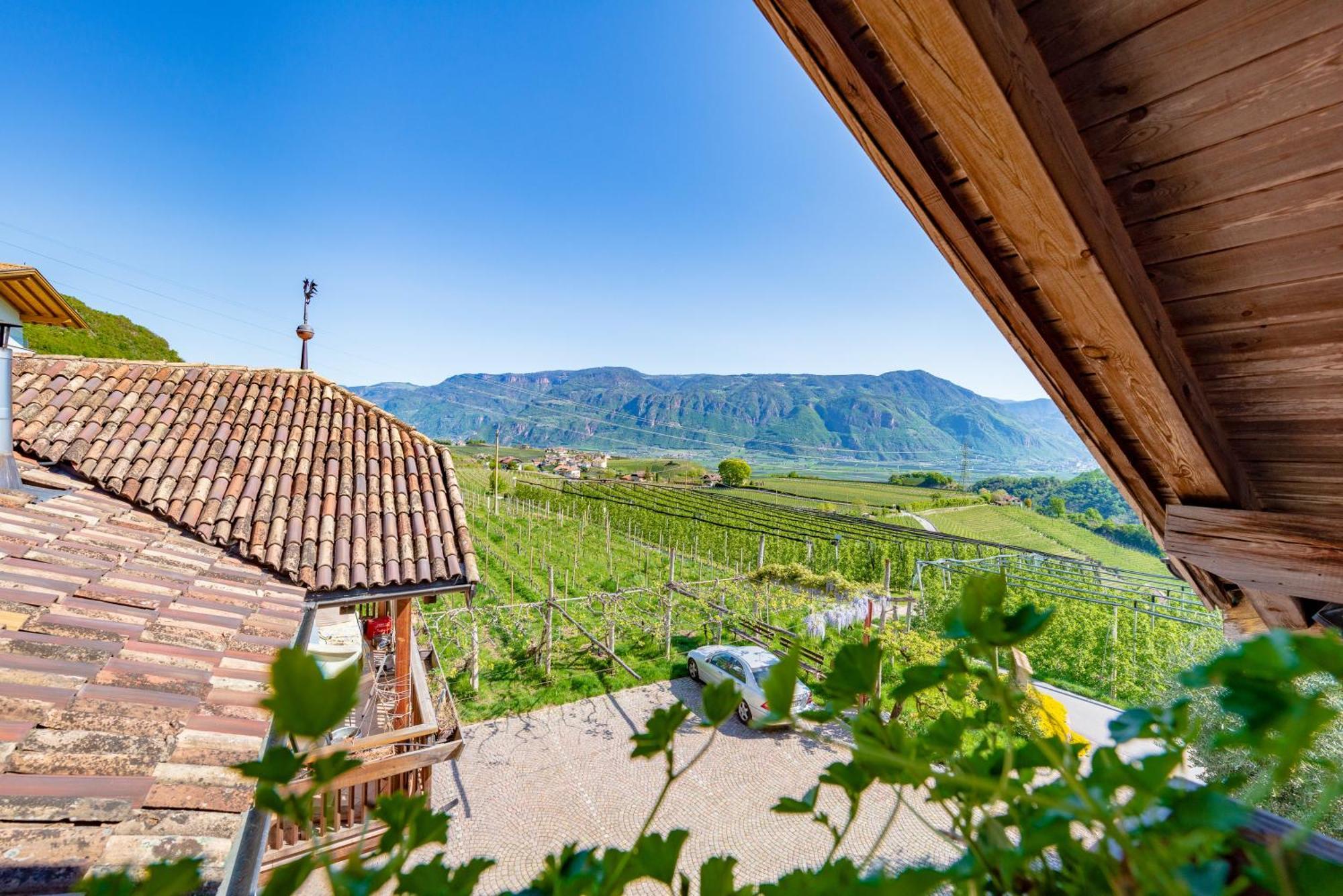 Gfillhof Ferienwohnung 3 Appiano Sulla Strada Del Vino Extérieur photo